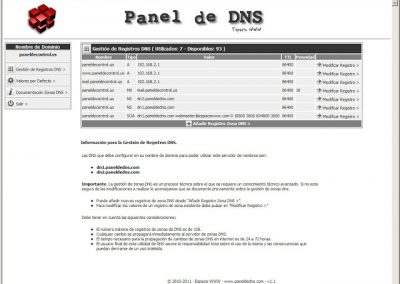 Gestion de Zonas DNS del dominio en el panel de DNS